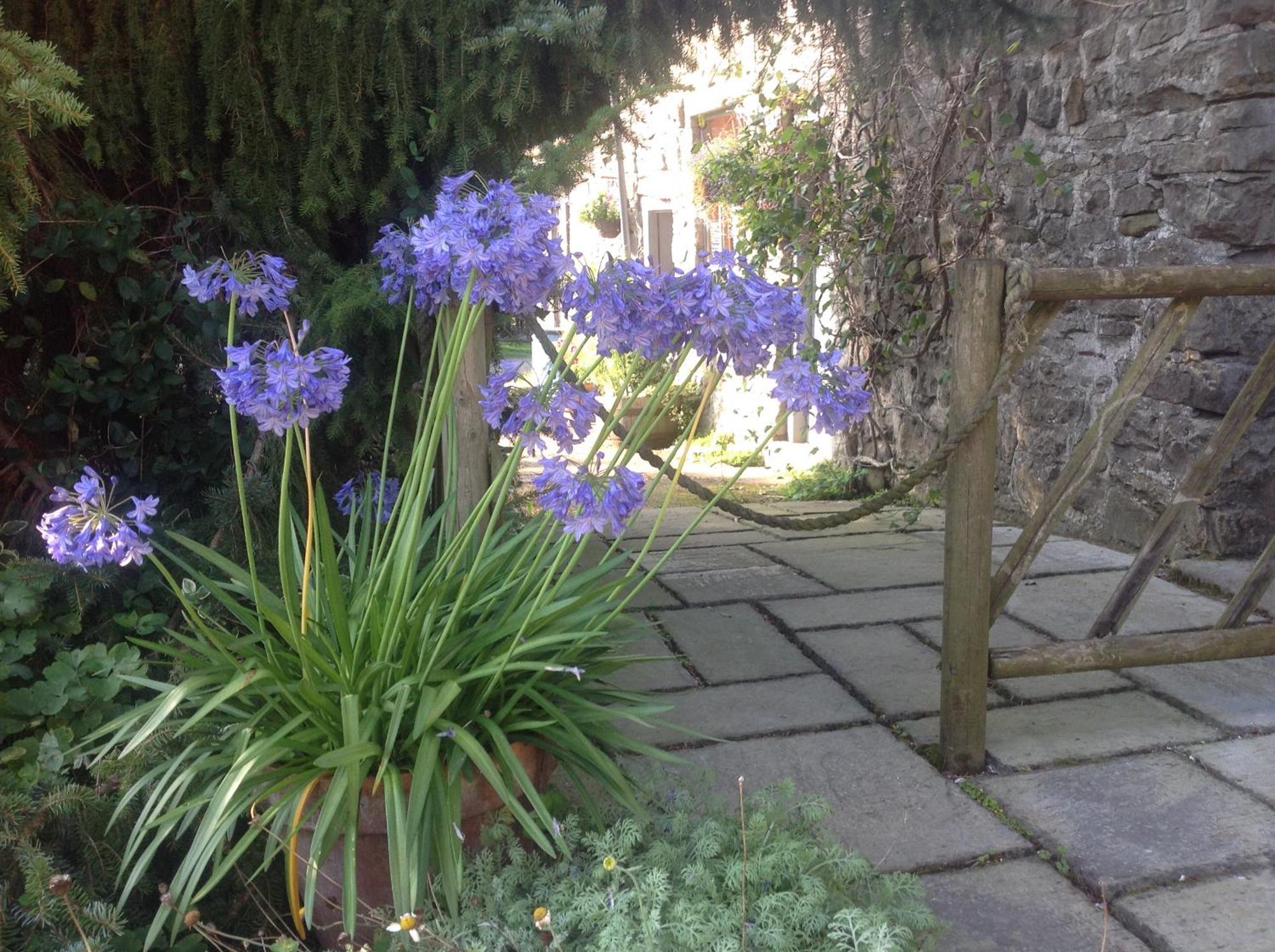 Lee House Farm Holiday Cottage With Possible Use Of Hot Tub Ninety Pounds A Session Waterfall Exterior foto